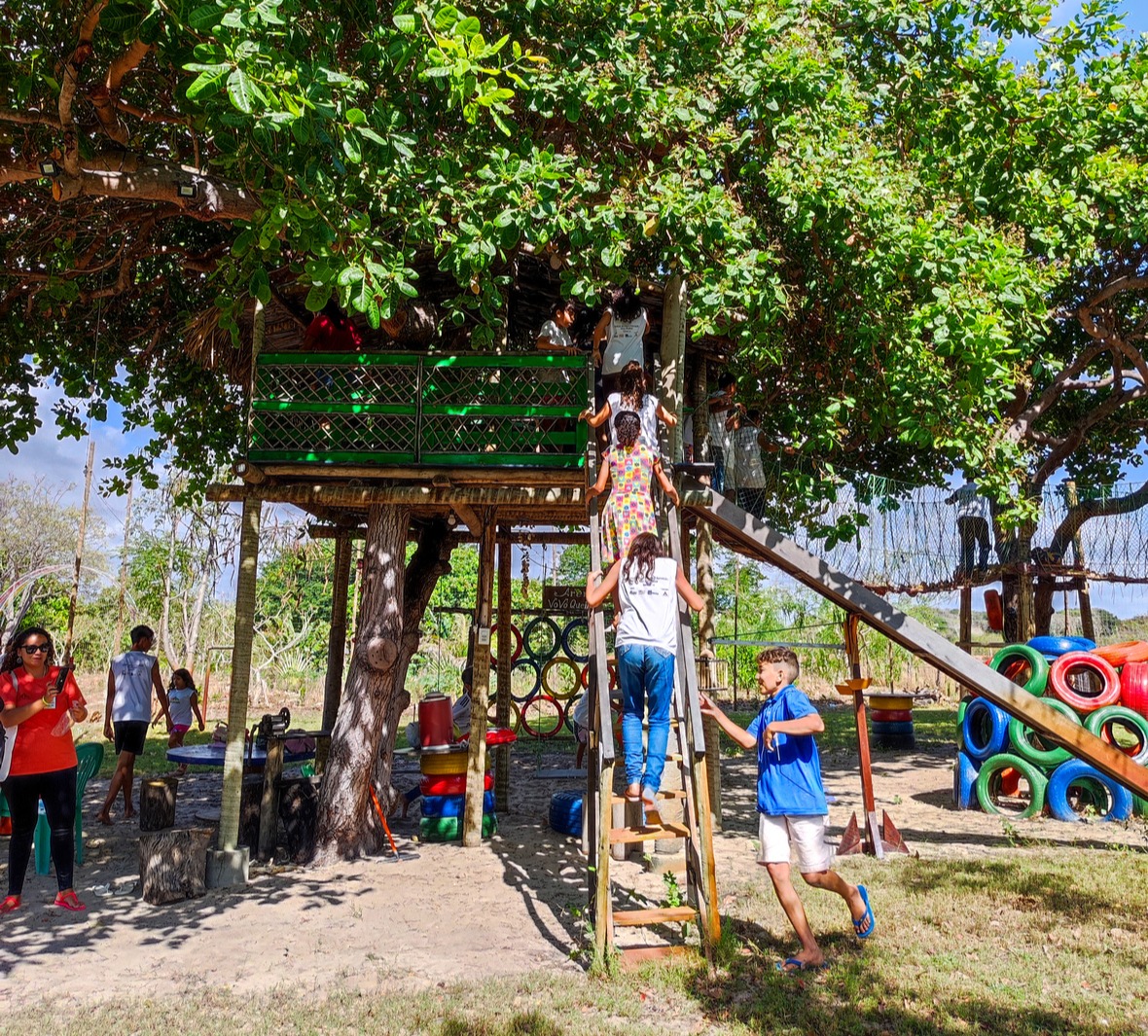 IMG_20241009_082845 (2).jpg